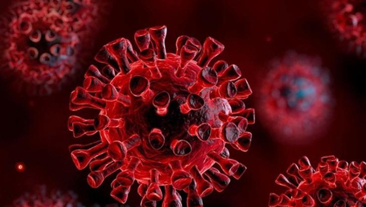 Covid-19 un Etkileri